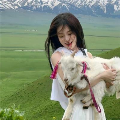 怪医杜立德
